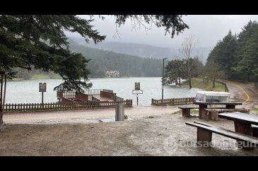 Kuvvetli rüzgar Gölcük Tabiat Parkı'nda ağaçları devirdi
