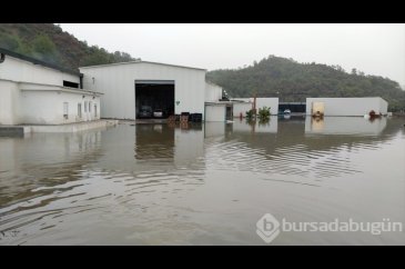Muğla'da sağanak etkili oldu
