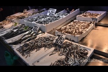 Trabzon'da hamsinin kilogramı 25 liraya kadar düştü
