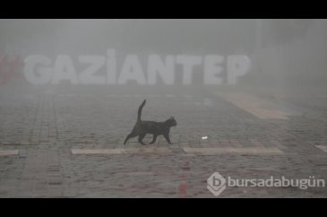 Gaziantep'te sis etkili oluyor
