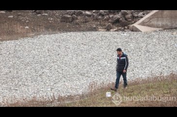 Kayacık Barajı'ndaki balık ölümleri araştırılıyor
