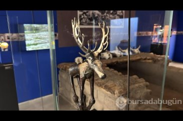 Cumhuriyet'in ilk bilimsel kazısı: Alaca Höyük
