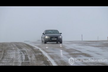 Van ve Hakkari'de kar ve sis etkili oldu
