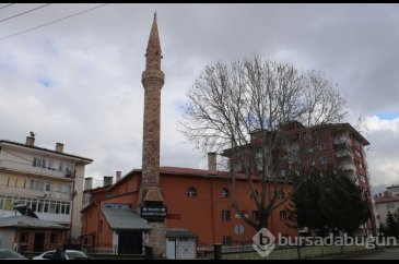 Google'da 'Aykut Kocaman' şoku