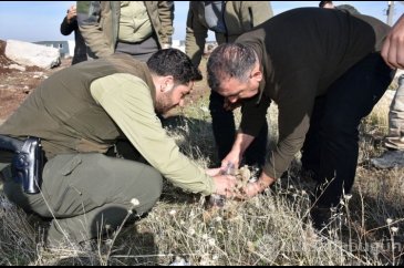 Fil alarmından sonra şimdi de kayıp aslan yavrusu ihbarı
