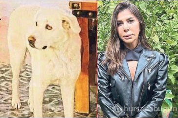 Bir anda üzerine atladı, dudağını kopardı: Stilist kadın kabusu yaşadı