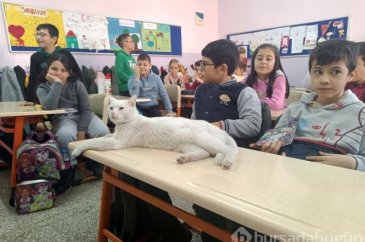 ''Çakıl'' okulun maskotu oldu
