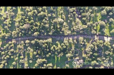 Manisa'da 1900 yıllık antik yol gün yüzüne çıktı
