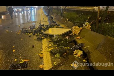 Kadıköy'de, bariyerlere çarpan kamyonette bulunan meyveler yola saç...