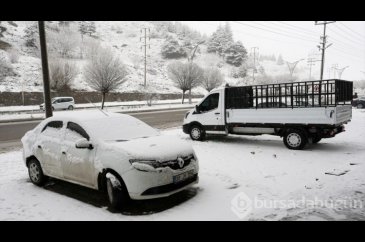 Muş ve Bitlis'te kar yağışı etkili oldu
