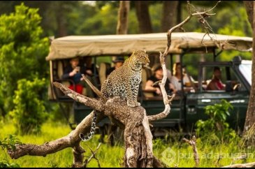 Kenya turistlere vize zorunluluğunu kaldırdı