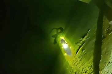 10 gündür kayıp olarak aranıyordu, su deposunda çıplak halde bulundu
