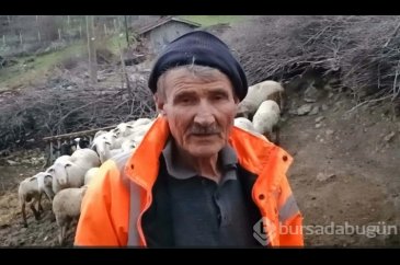 Ağıla giren komşunun koyunlara yaptığı güvenlik kamerası ile ortaya...