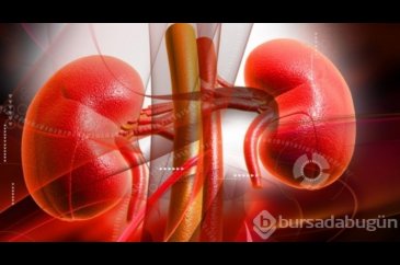 Uzmanı teknoloji bağımlılarını uyardı: Böbrek taşı riskini artırıyor
