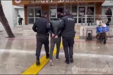 İzmir'de kedileri eve götürüp öldüren şahıs tutuklandı