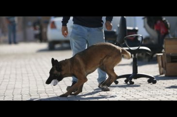 Depremde sahibini uyandıran Şila konteyner kentteki çocukların neşesi