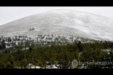 Kars'ta kar yağışı etkili oldu
