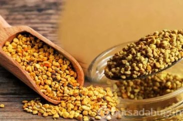 Protein açısından en zengin gıda bağışıklığa iyi geliyor!