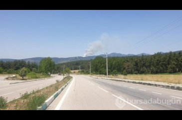 Bursa, Muğla ve Antalya'da orman yangını
