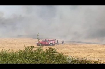 Antalya'da yerleşim yerine yakın ağaçlık alanda yangın
