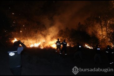 Türkiye orman yangınlarıyla mücadele ediyor: Yangınlar NASA'nın uyd...