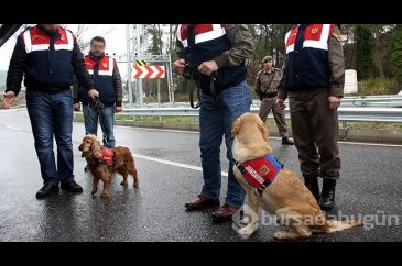 Samsun'da uyuşturucu operasyonu!