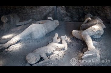 Pompeii DNA analizleri ortaya çıktı! Düşünülenden çok farklı...