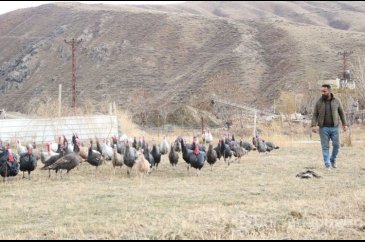 Fiyatı 4 bin lirayı buluyor: Yılbaşı öncesi satışa çıktı