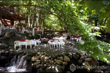 Bursa'da en iyi piknik alanları! Bursa'da gidilecek ücretli, ücrets...
