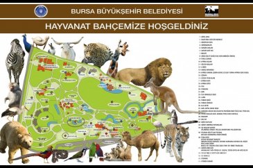 Bursa'da yaz tatilinde çocuklar için aktivite! En çok gitmek istedi...