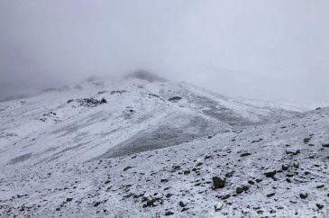 Yazın ortasında bembeyaz sürpriz! Gören hem şaşırdı hem de hayran k...