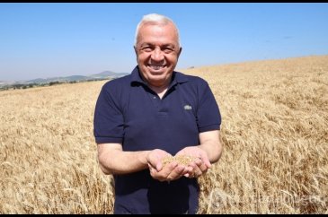 Bursa'da hasat zamanı! Örnek uygulama ile köylü toprağını terk etme...