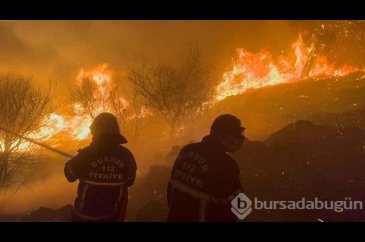 Alevlerin arasından kaçamayan canlar! İzmir'de en az 30 kuş türü te...