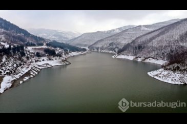 Uludağ'dan Süzülen Doğal Miras! Keşiş Dağı'nın Serin Suları...