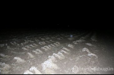 Kastamonu'nun gözdesi! Gece gündüz koruma altında...