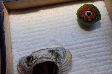 Çok parayla az yemek! Lüks restoranların iştah açmayan sunumları... 