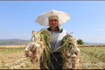 Kavurucu sıcakta kadın gücü!