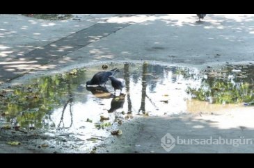 Sıcaklık tahmin edilemeyecek şekilde arttı!