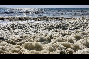 İskenderun Körfezi'nde beklenmeyen köpük!