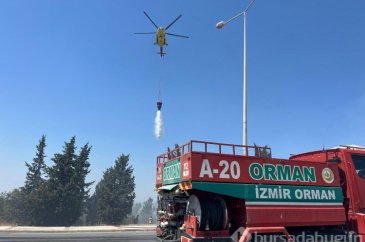 Bugün de İzmir'in iki ilçesinde yangın çıktı!