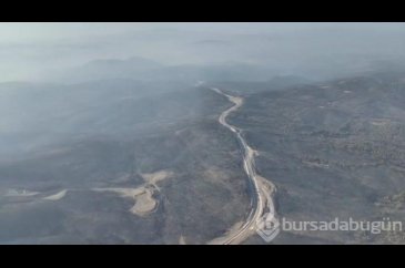 Bursa'da yanan ormanlar dronla görüntülendi!