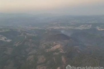 Orman yangılardan sonra insanların solunum şikayeti arttı!