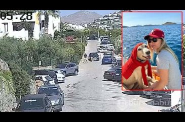 12 yıl önce sahiplendiği köpeği trafik kazasında kaybetti