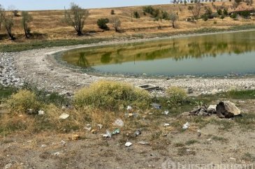 Kızılca Göletin'de sular çekildi! Ölen balıklar kıyıya vurdu