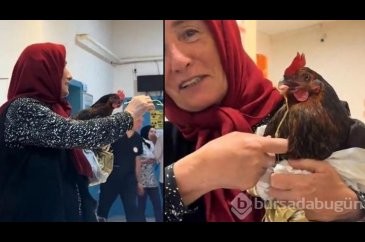Horozunun boğazına iğne kaçtı! Röntgen çekilmesini istedi