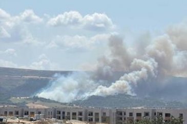 Çanakkale'de orman yangını!