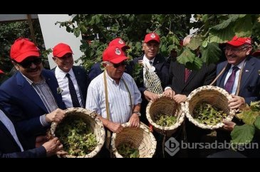 Trabzon'da 'Dünya Fındık Haftası' etkinliği