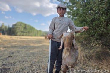 Baktığı hayvanların huyuna ve desenine göre isim veriyor