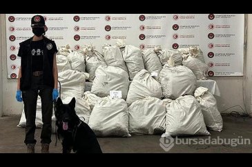Kapıkule'de 245 kilo esrarı Füge buldu