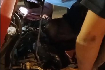 Kedi otomobil motoruna sıkıştı! İtfaiye ekipleri kısa sürede kurtardı